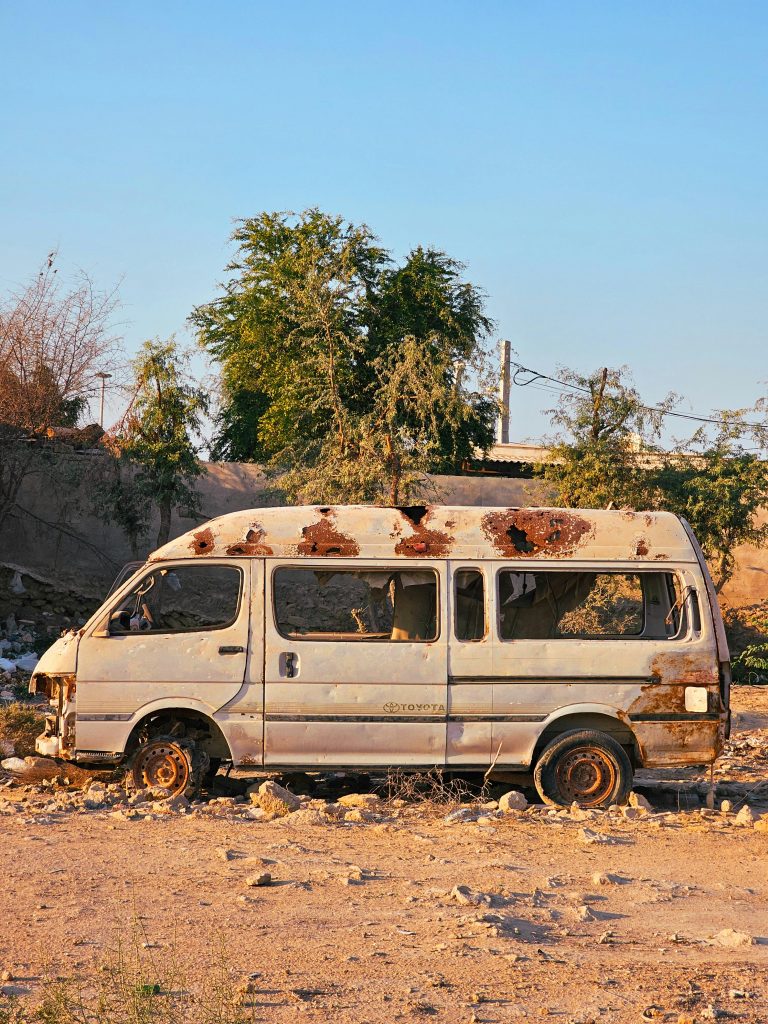 Pexels Ziamoshtaghi 19781399